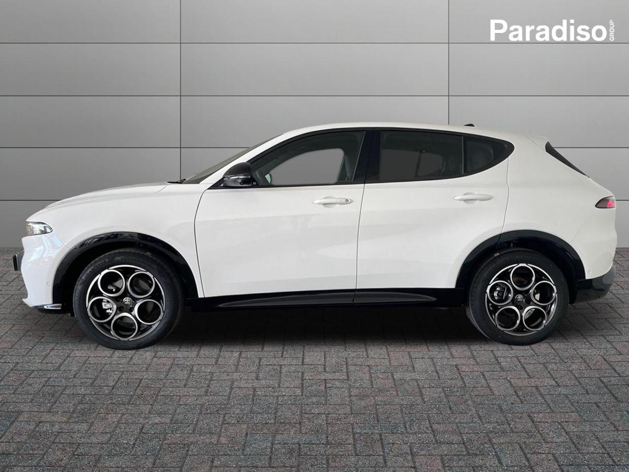 Alfa Romeo Alfa Romeo Tonale usata 20