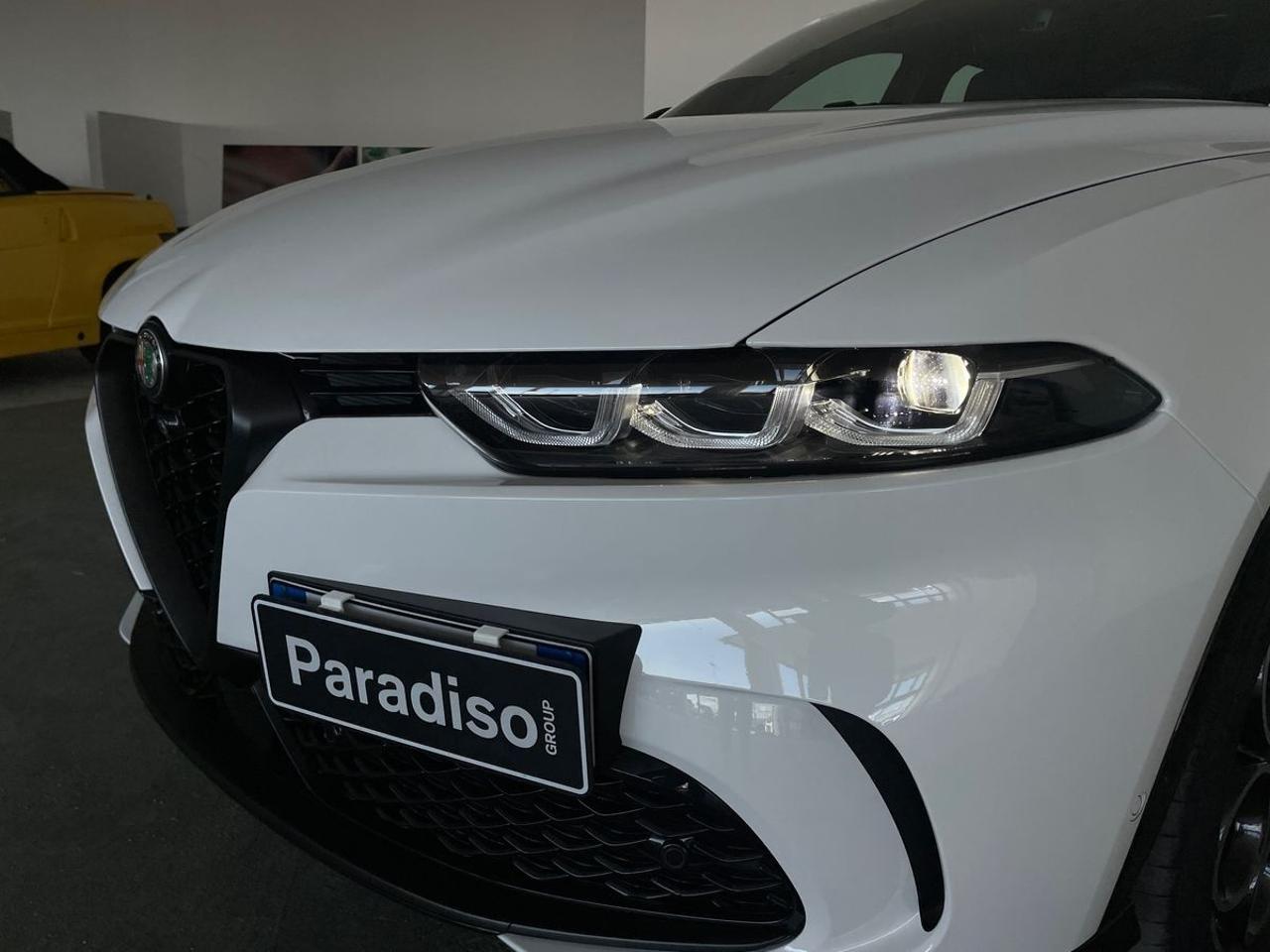 Alfa Romeo Alfa Romeo Tonale usata 21