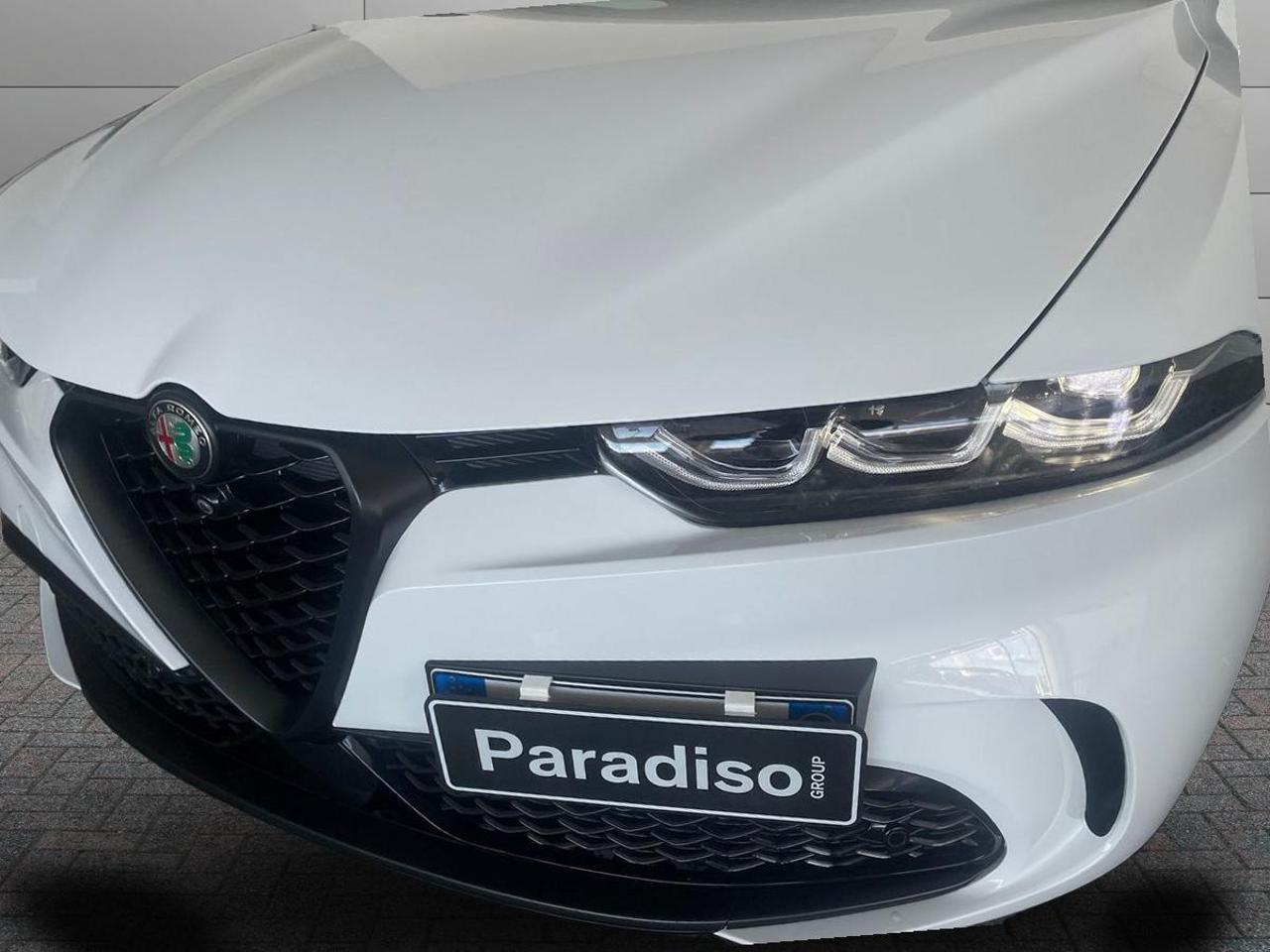 Alfa Romeo Alfa Romeo Tonale usata 22