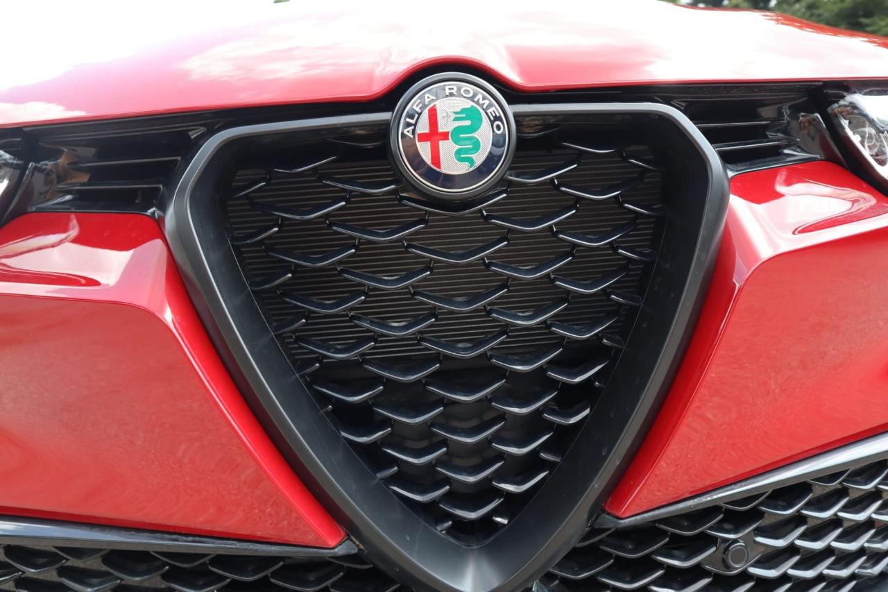 Alfa Romeo Alfa Romeo Tonale usata 3