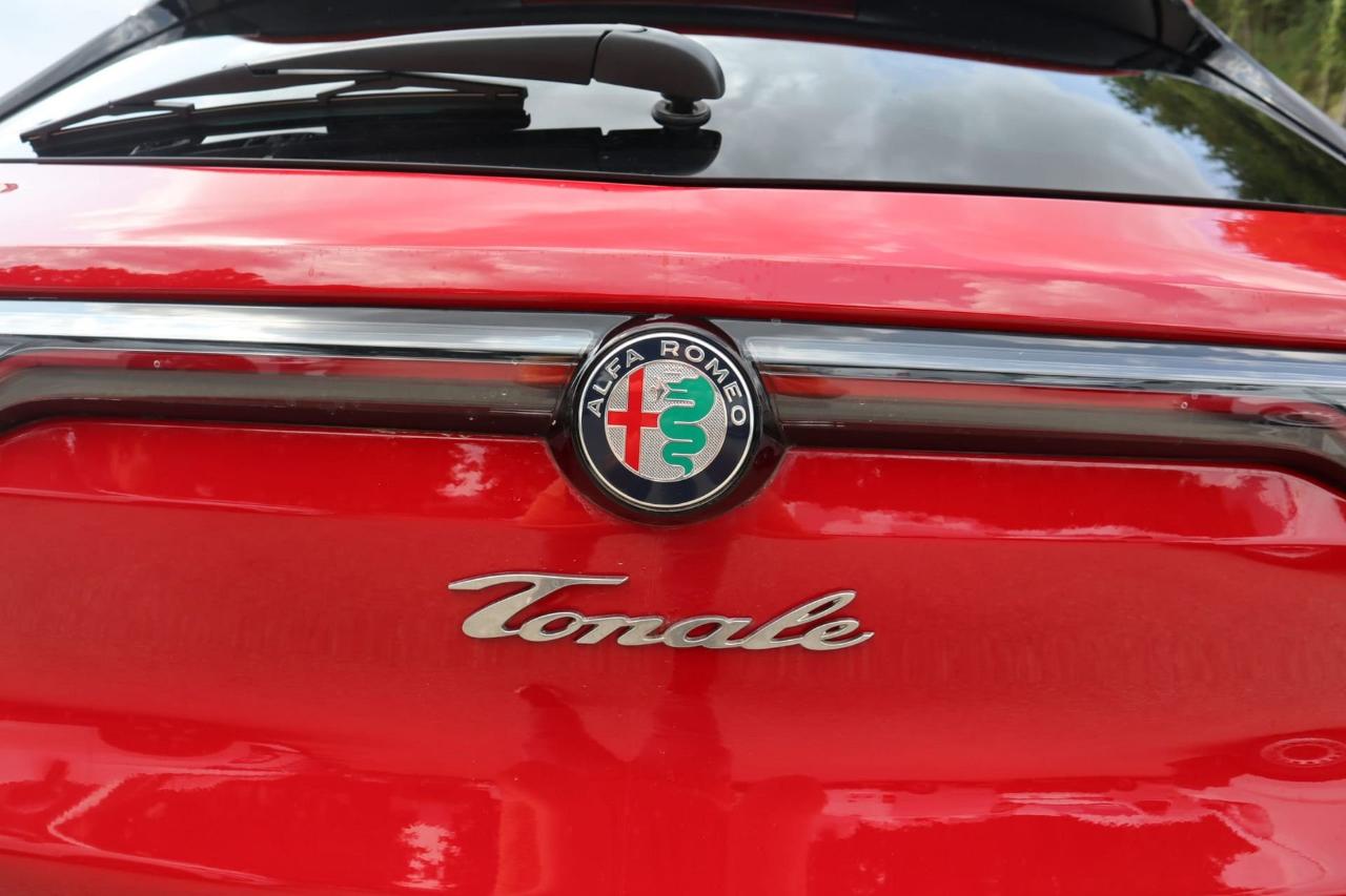 Alfa Romeo Alfa Romeo Tonale usata 6
