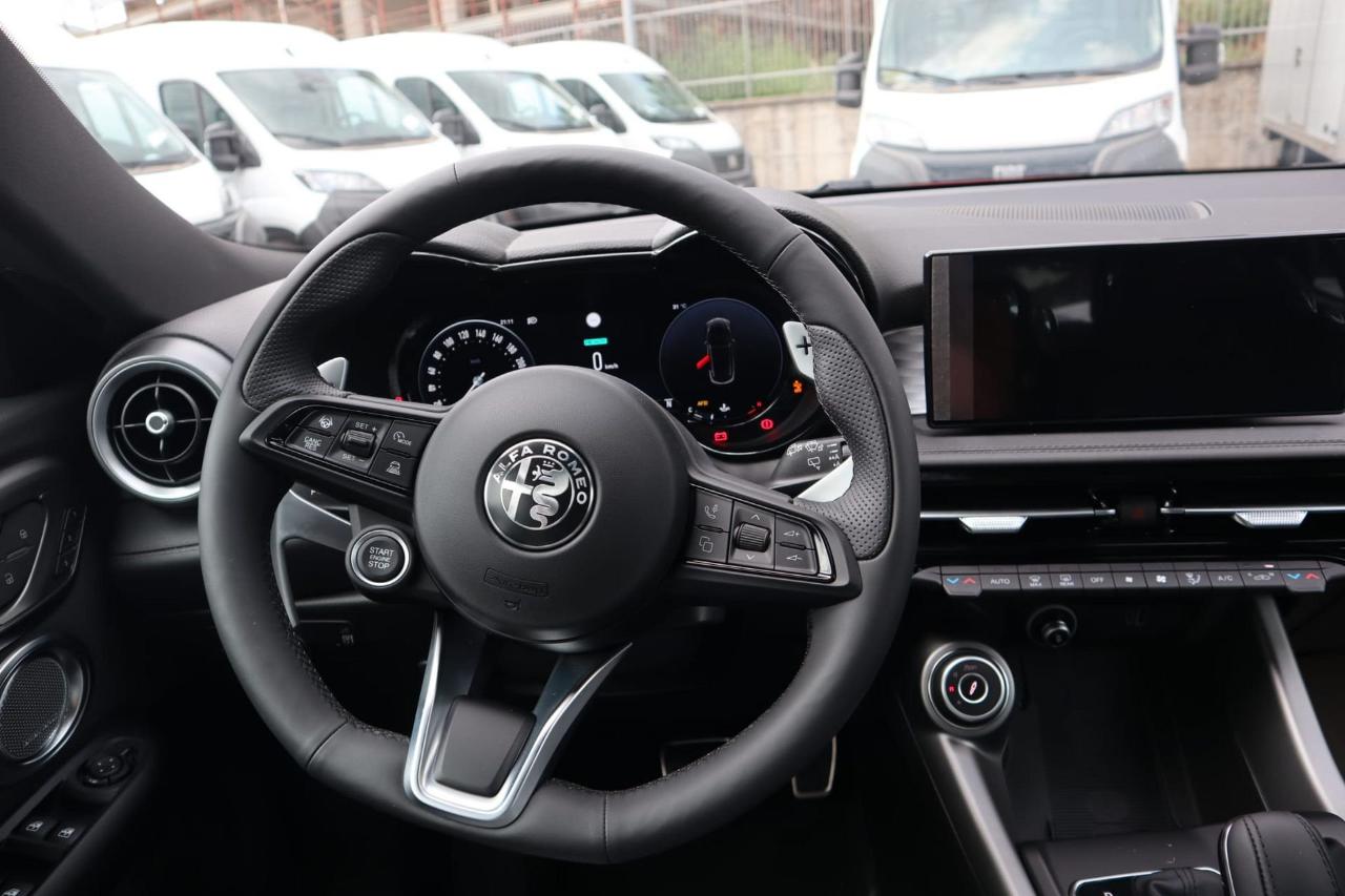 Alfa Romeo Alfa Romeo Tonale usata 8