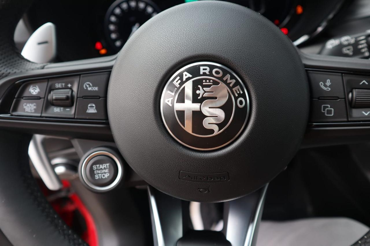 Alfa Romeo Alfa Romeo Tonale usata 9