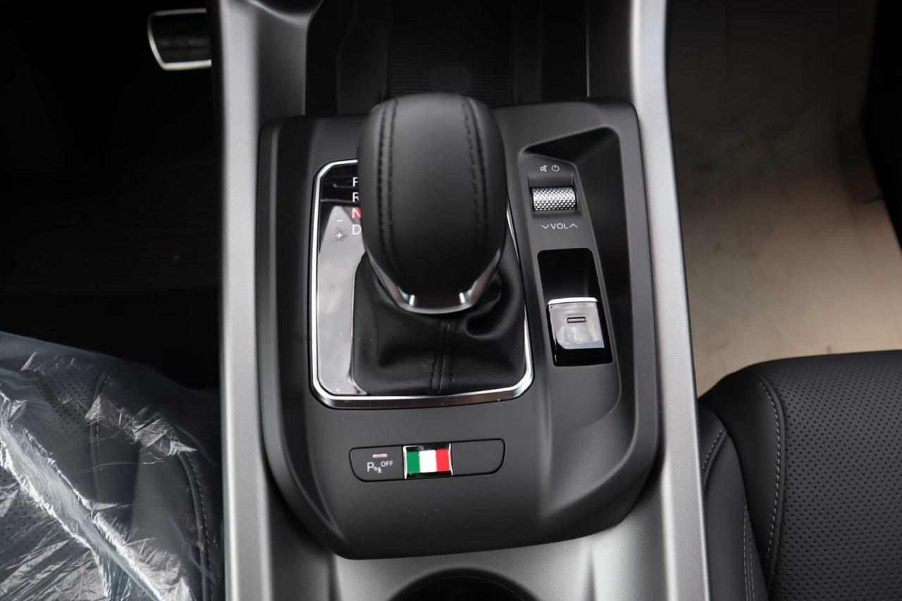 Alfa Romeo Alfa Romeo Tonale usata 17