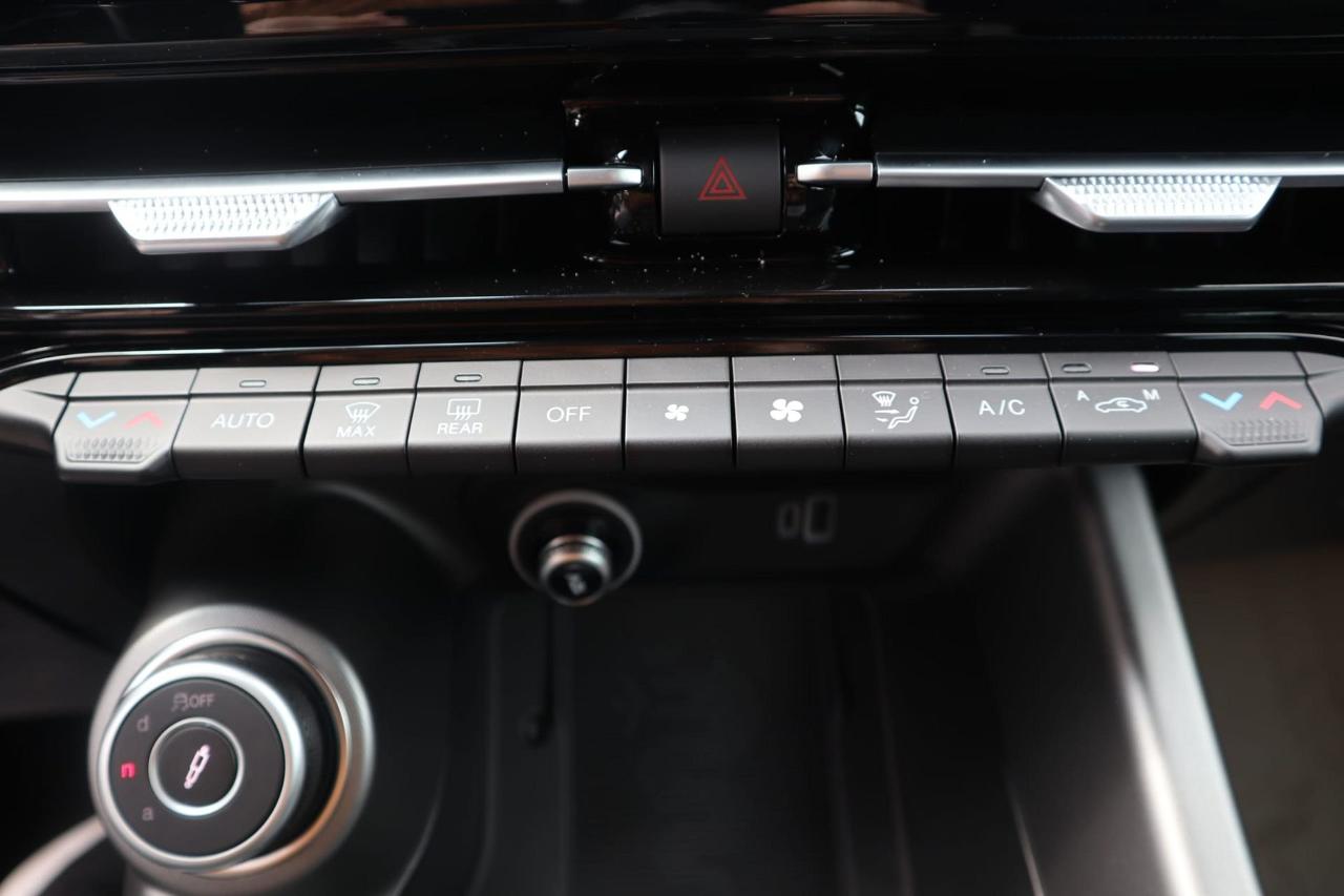 Alfa Romeo Alfa Romeo Tonale usata 21
