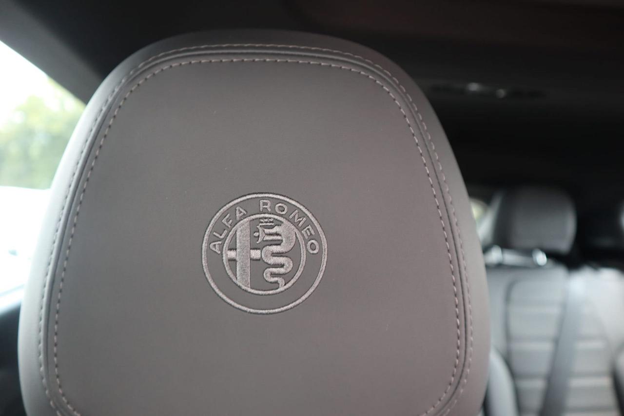 Alfa Romeo Alfa Romeo Tonale usata 26