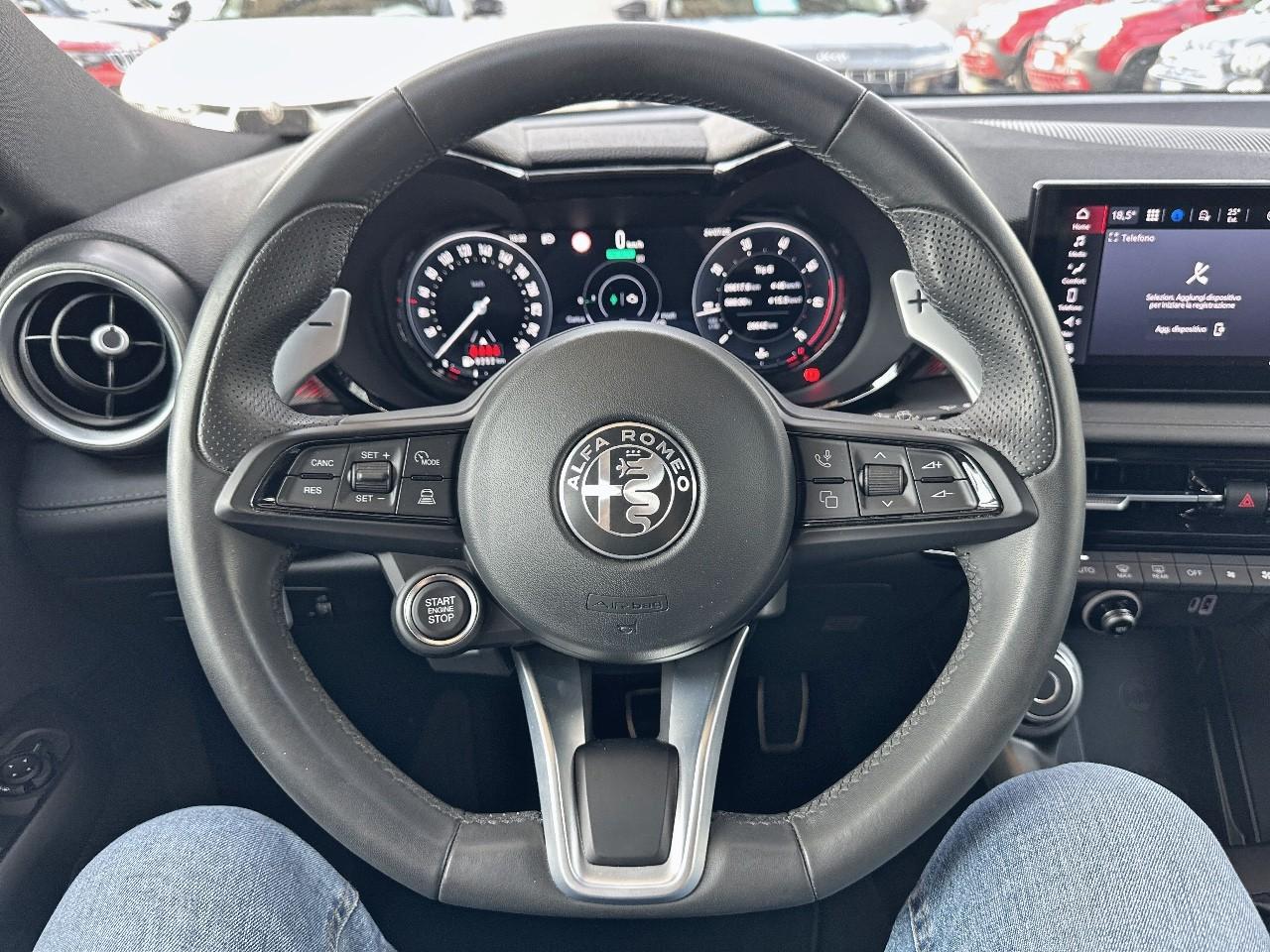 Alfa Romeo Alfa Romeo Tonale usata, con 6 altoparlanti