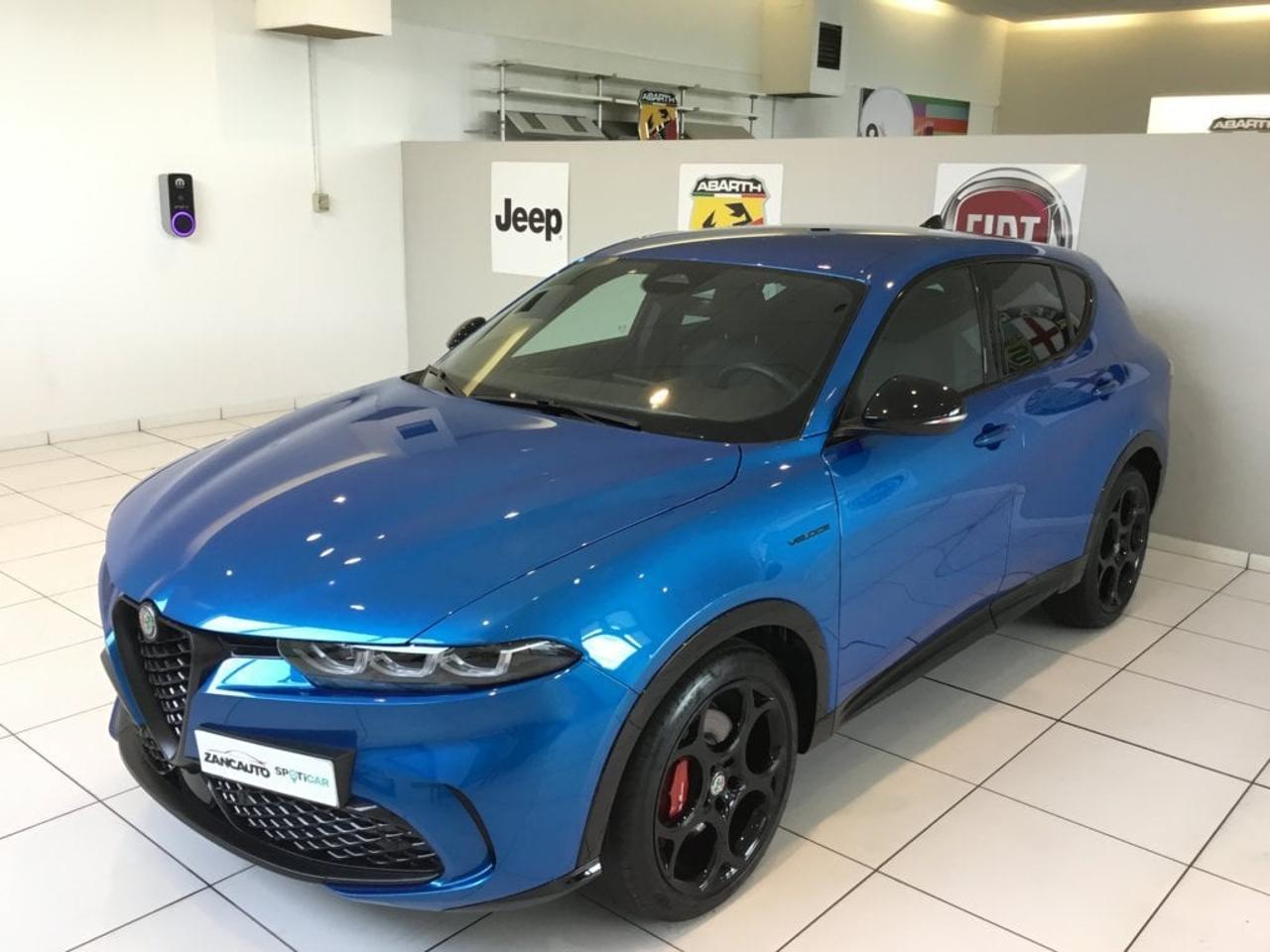 Alfa Romeo Alfa Romeo Tonale usata 9