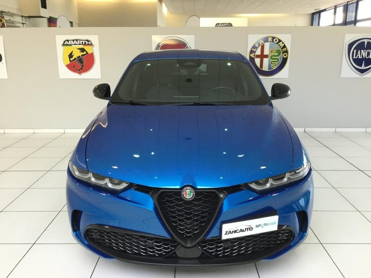 Alfa Romeo Alfa Romeo Tonale usata 10