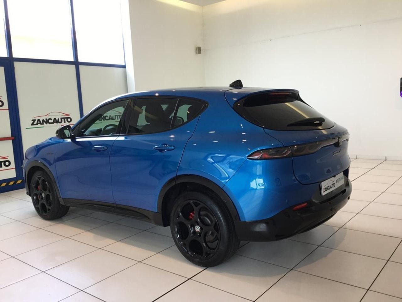 Alfa Romeo Alfa Romeo Tonale usata 13