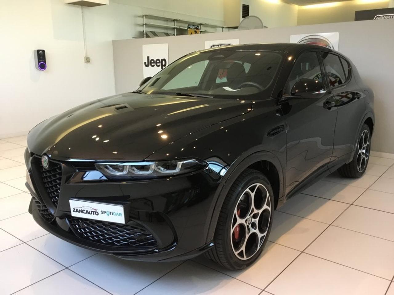 Alfa Romeo Alfa Romeo Tonale usata 9