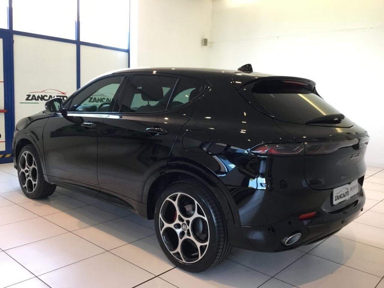 Alfa Romeo Alfa Romeo Tonale usata 14