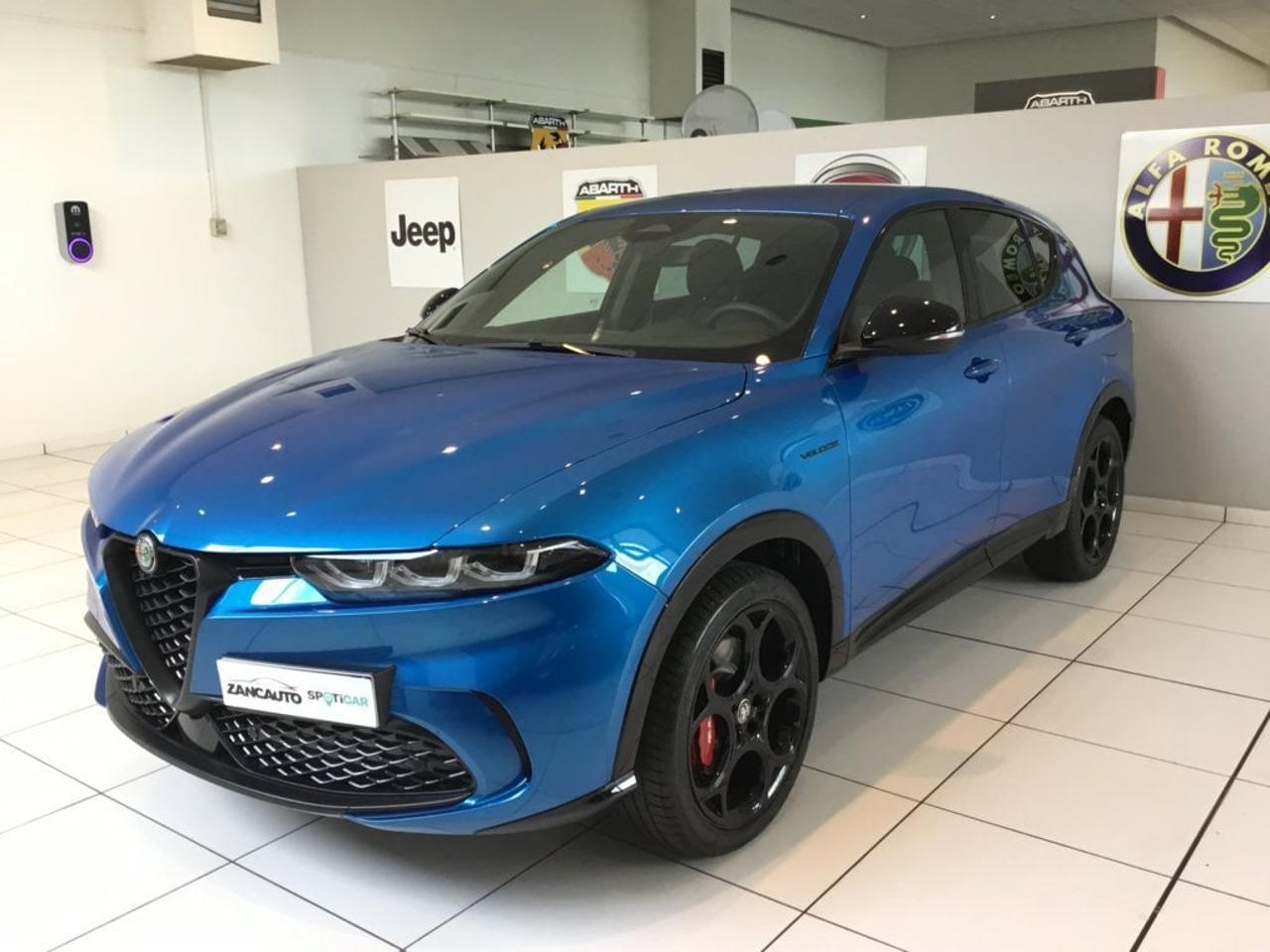 Alfa Romeo Alfa Romeo Tonale usata 11