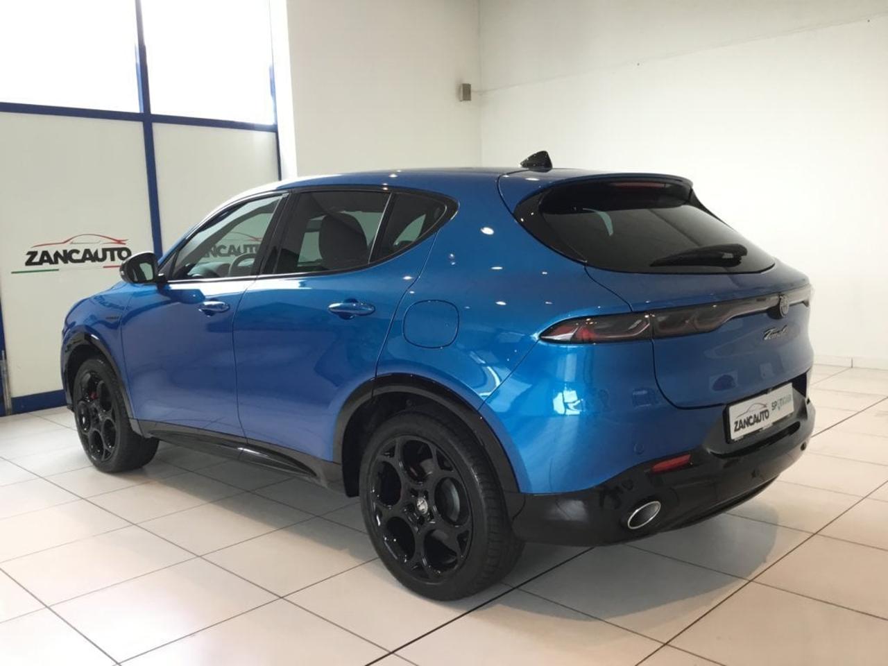 Alfa Romeo Alfa Romeo Tonale usata 12