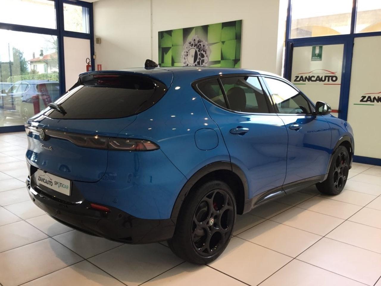 Alfa Romeo Alfa Romeo Tonale usata 14
