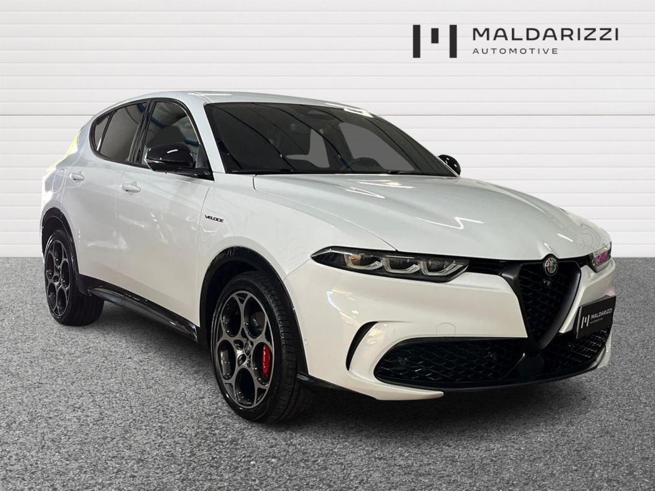 Alfa Romeo Alfa Romeo Tonale usata 11