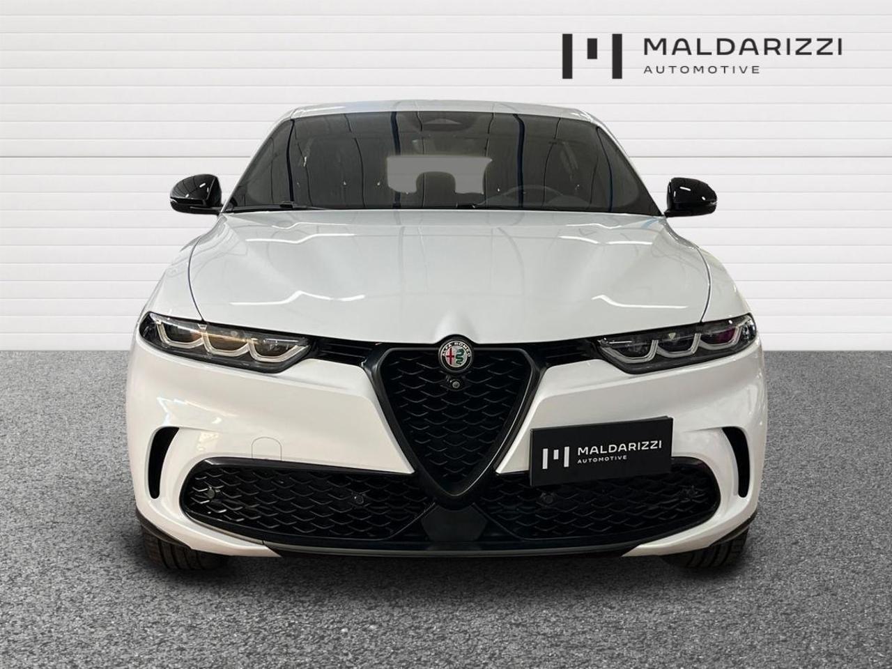 Alfa Romeo Alfa Romeo Tonale usata 13