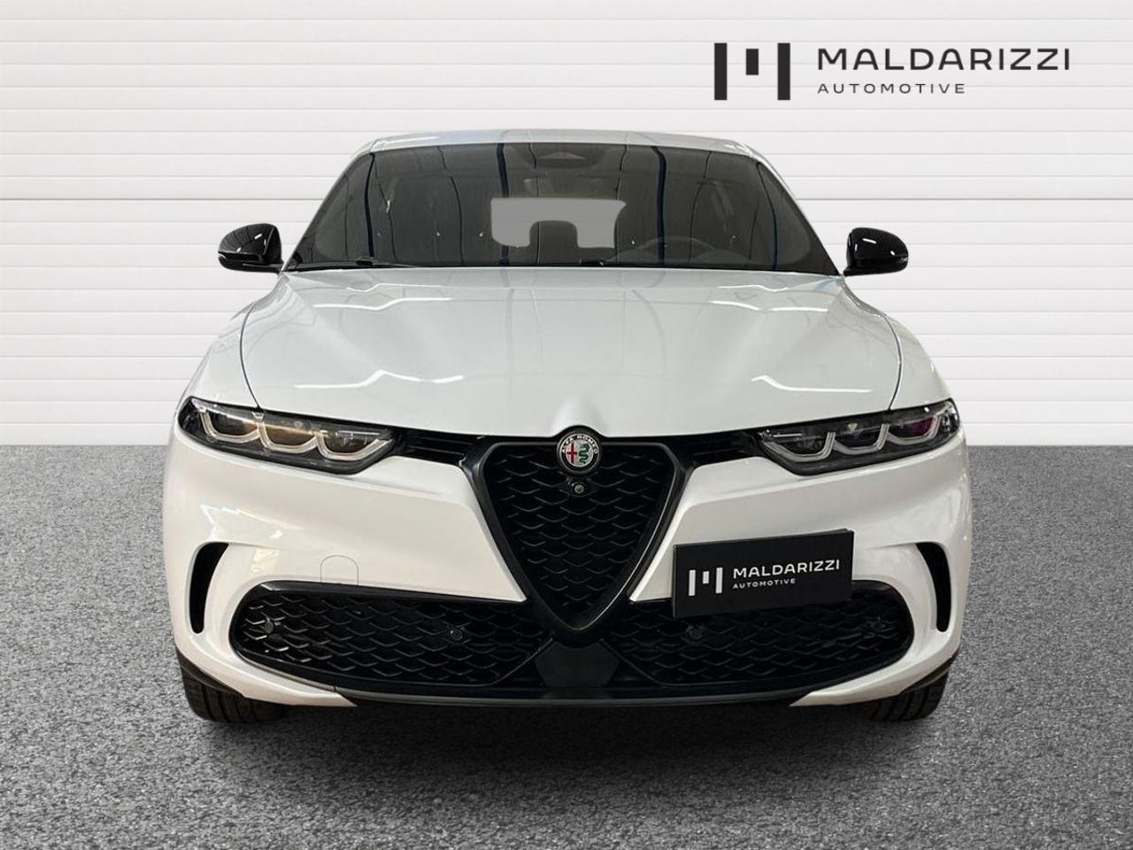 Alfa Romeo Alfa Romeo Tonale usata 14