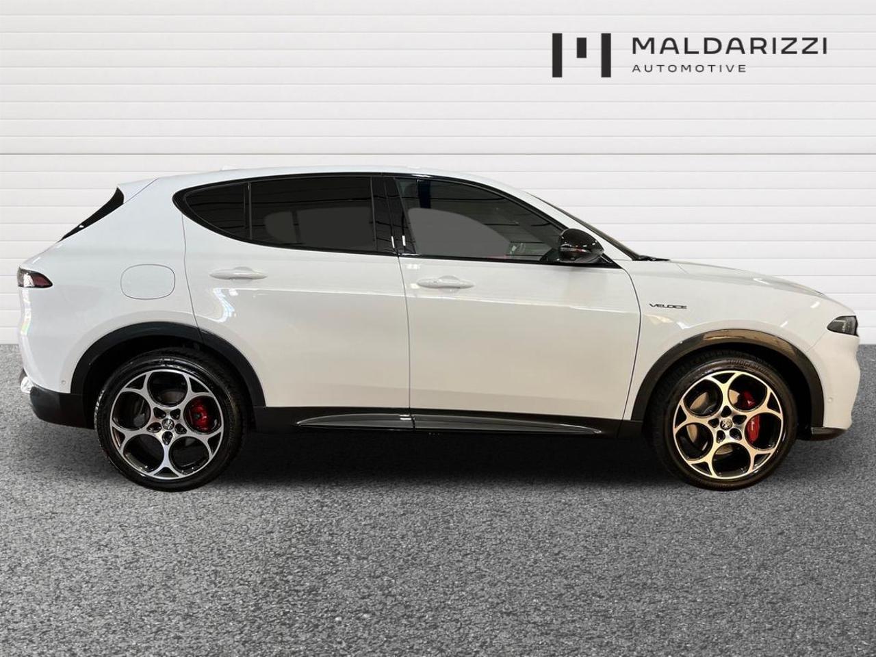 Alfa Romeo Alfa Romeo Tonale usata 19