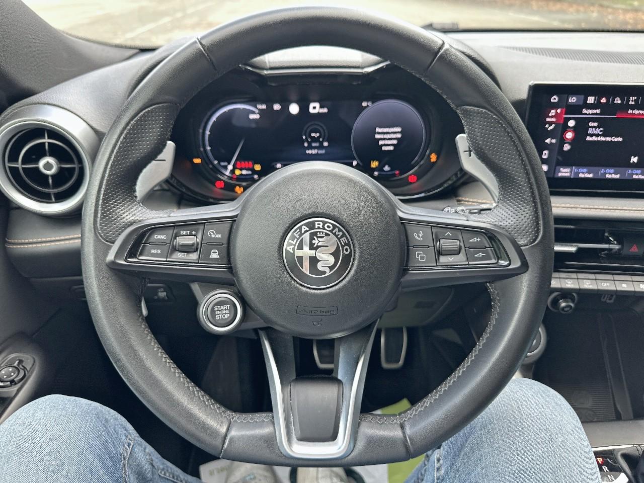 Alfa Romeo Alfa Romeo Tonale usata, con 6 altoparlanti