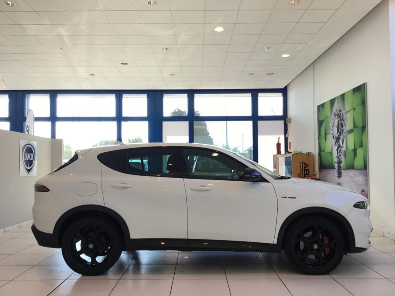 Alfa Romeo Alfa Romeo Tonale usata 8