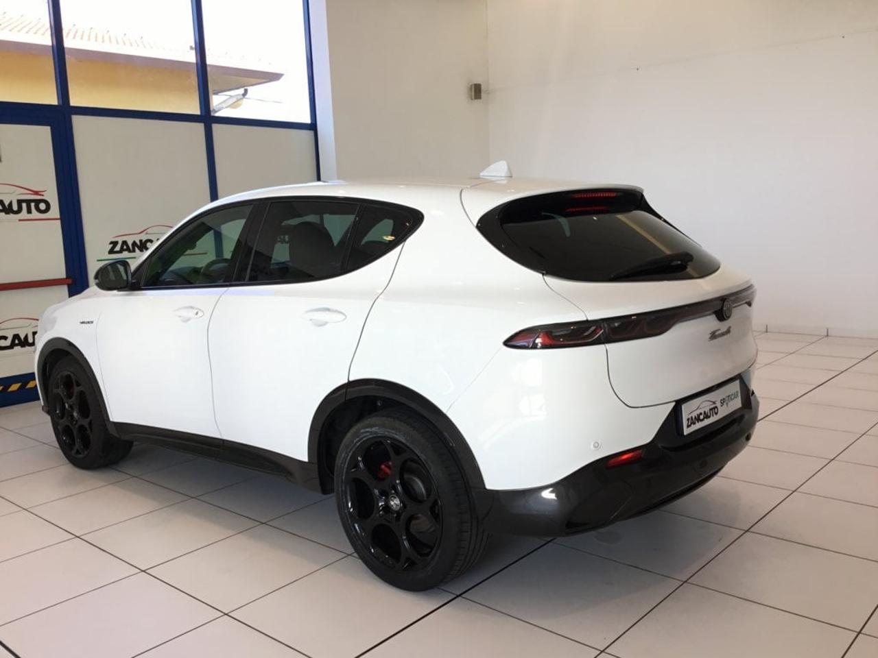 Alfa Romeo Alfa Romeo Tonale usata 11