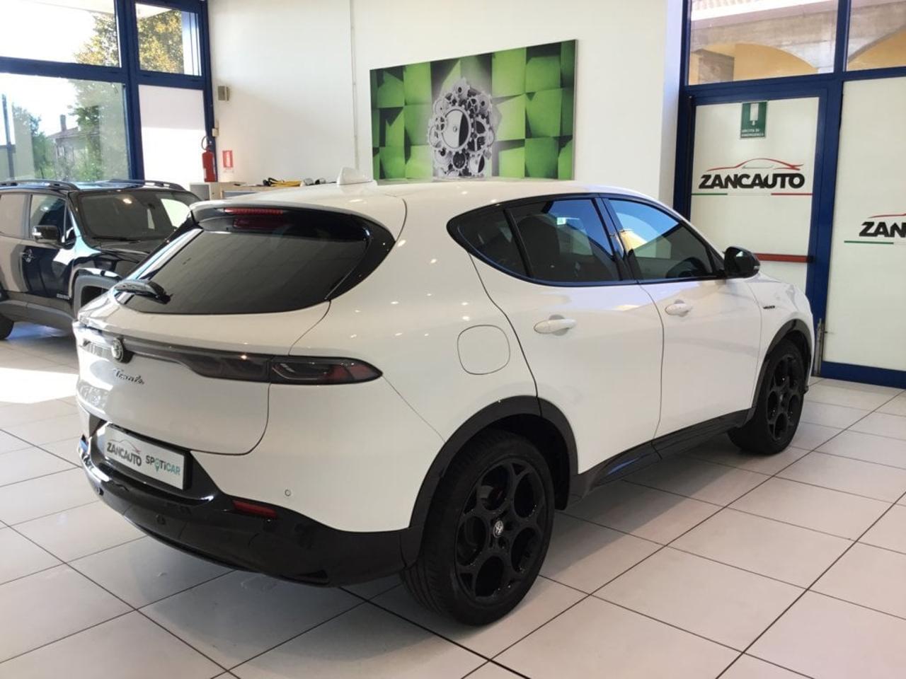 Alfa Romeo Alfa Romeo Tonale usata 13