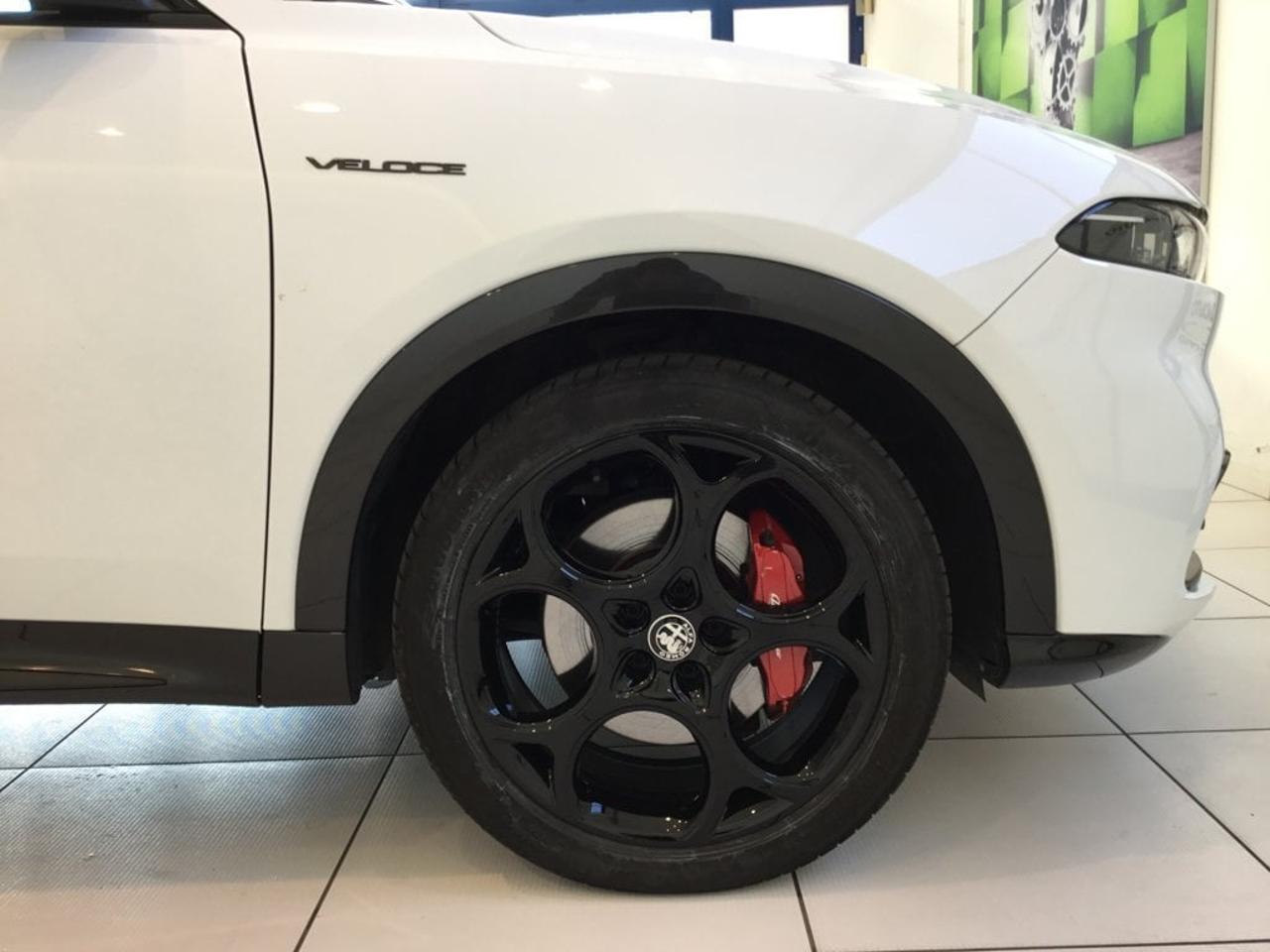 Alfa Romeo Alfa Romeo Tonale usata 14