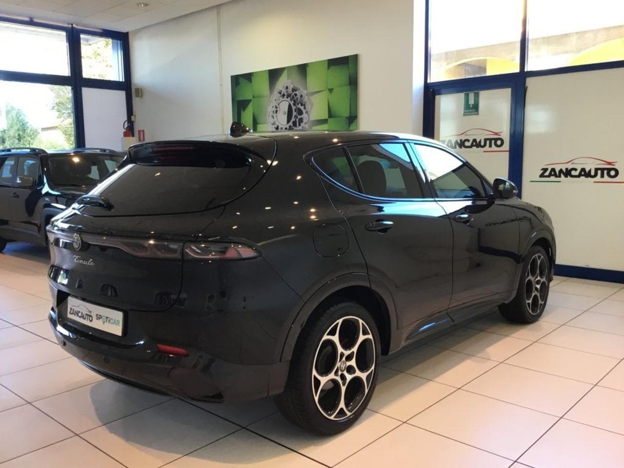Alfa Romeo Alfa Romeo Tonale usata 12