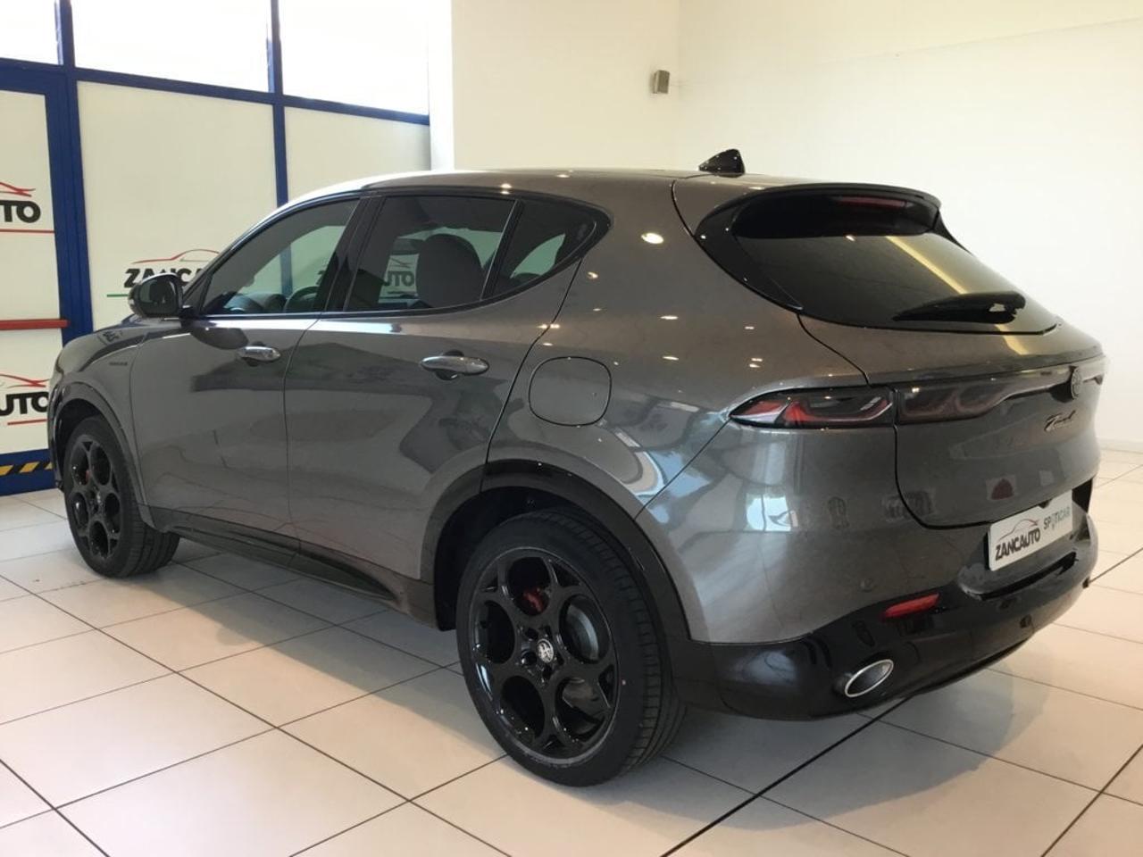 Alfa Romeo Alfa Romeo Tonale usata 12