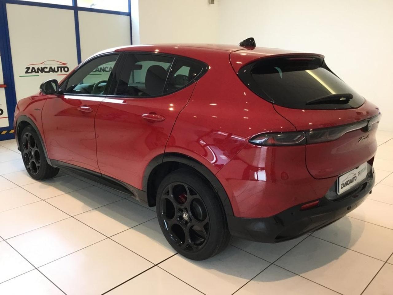 Alfa Romeo Alfa Romeo Tonale usata 11
