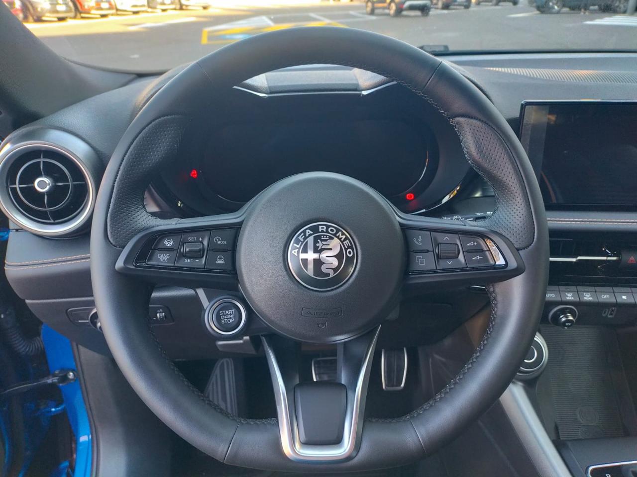 Alfa Romeo Alfa Romeo Tonale usata, con computer di bordo