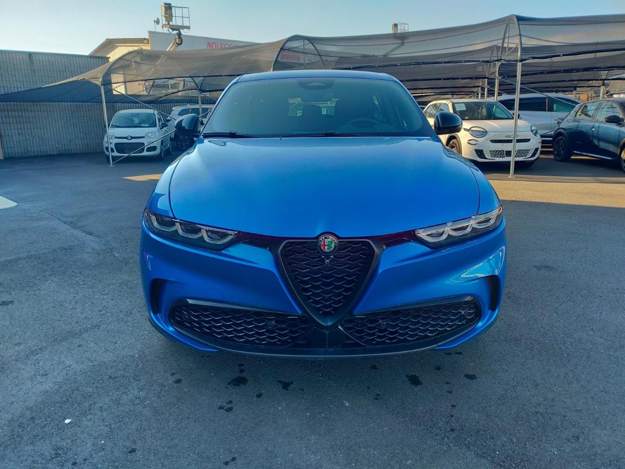 Alfa Romeo Alfa Romeo Tonale usata 7