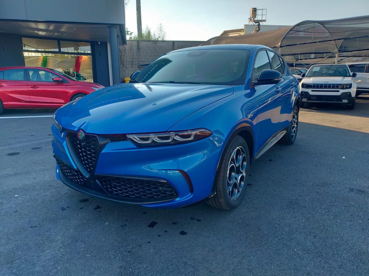 Alfa Romeo Alfa Romeo Tonale usata 8