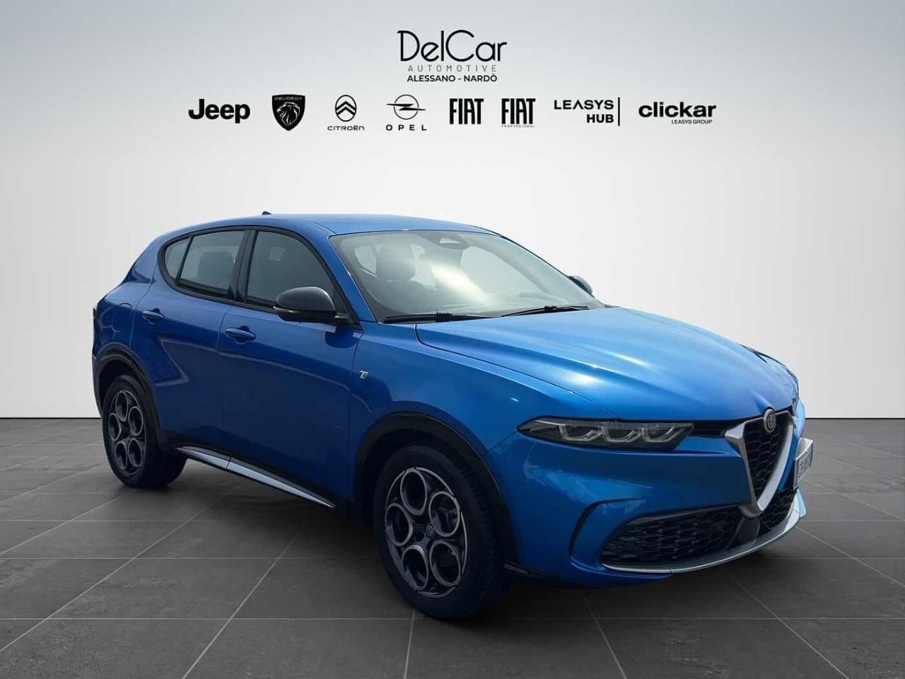 Alfa Romeo Alfa Romeo Tonale usata 11