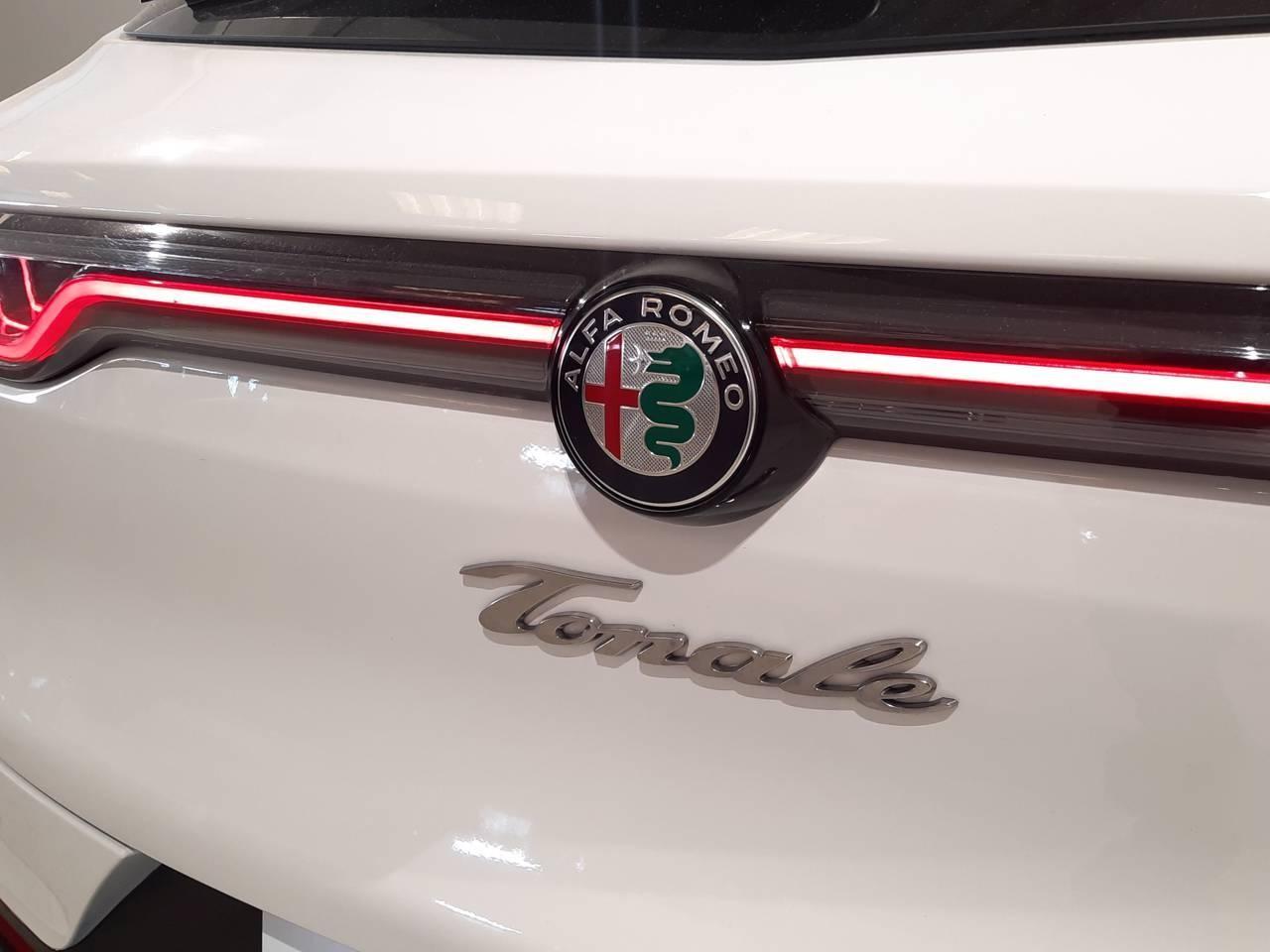 Alfa Romeo Alfa Romeo Tonale usata 20