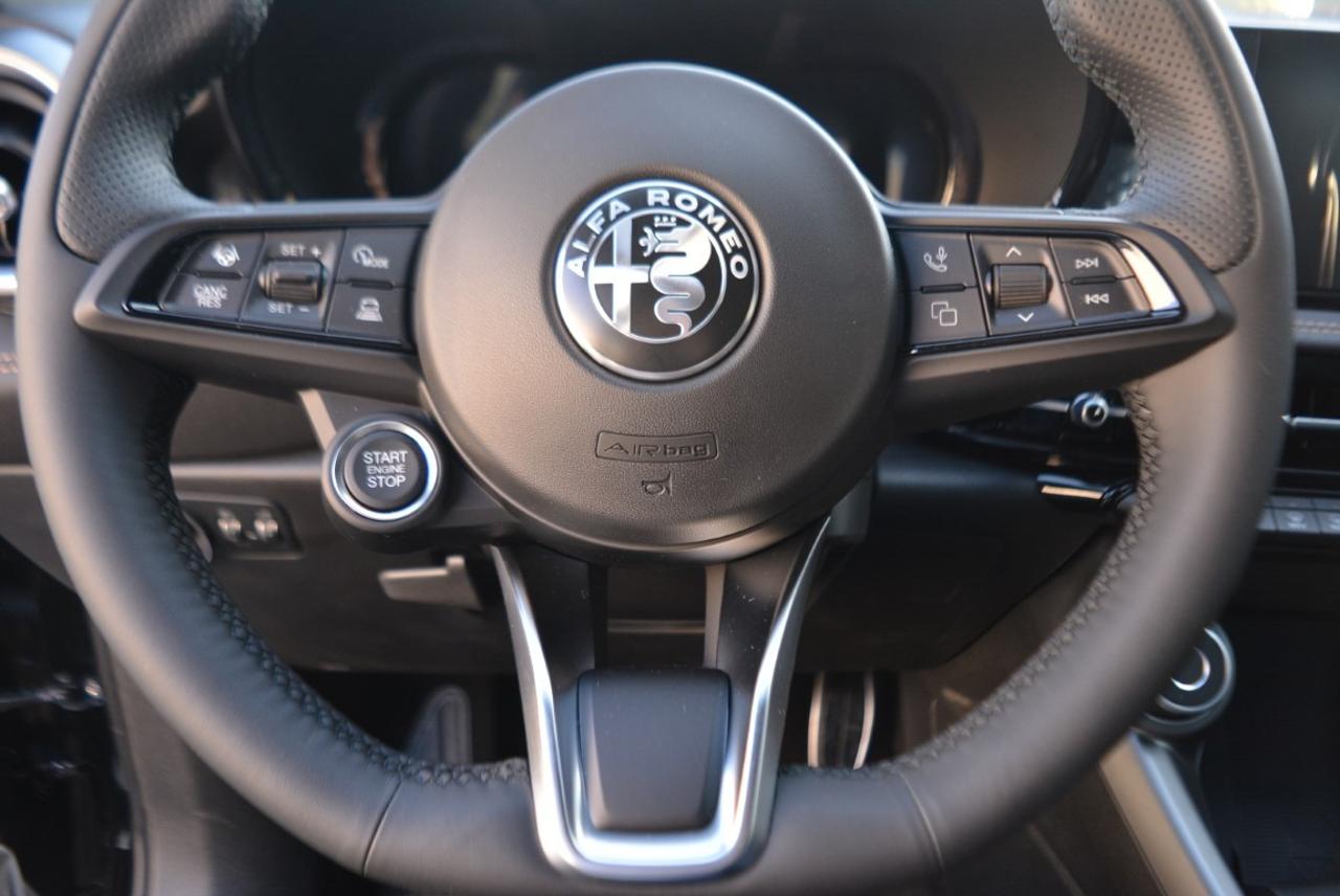 Alfa Romeo Alfa Romeo Tonale usata 7