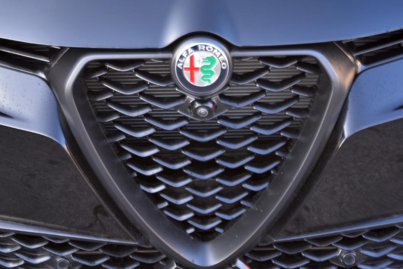 Alfa Romeo Alfa Romeo Tonale usata 12