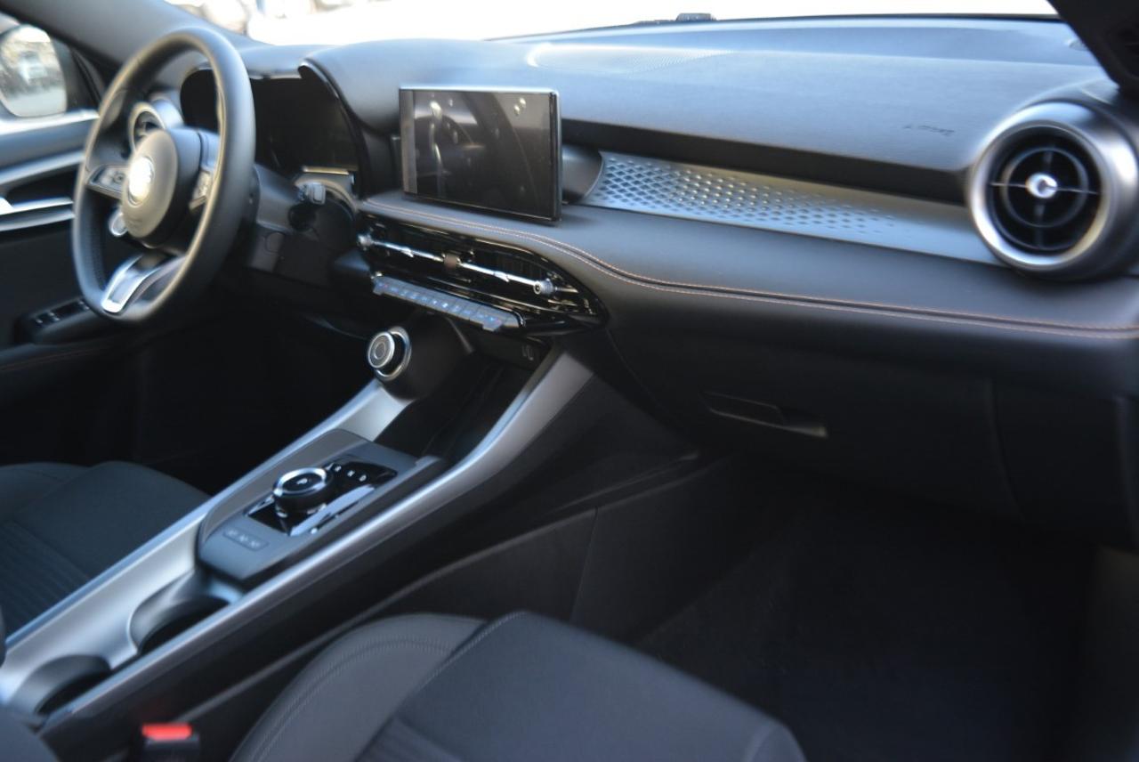 Alfa Romeo Alfa Romeo Tonale usata 22
