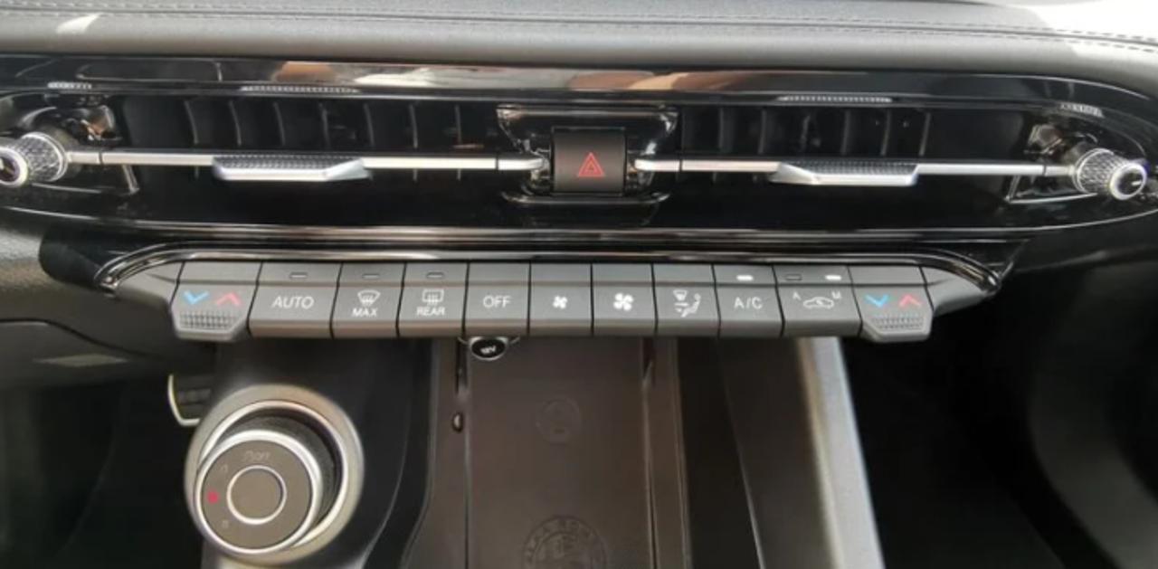Alfa Romeo Alfa Romeo Tonale usata 12