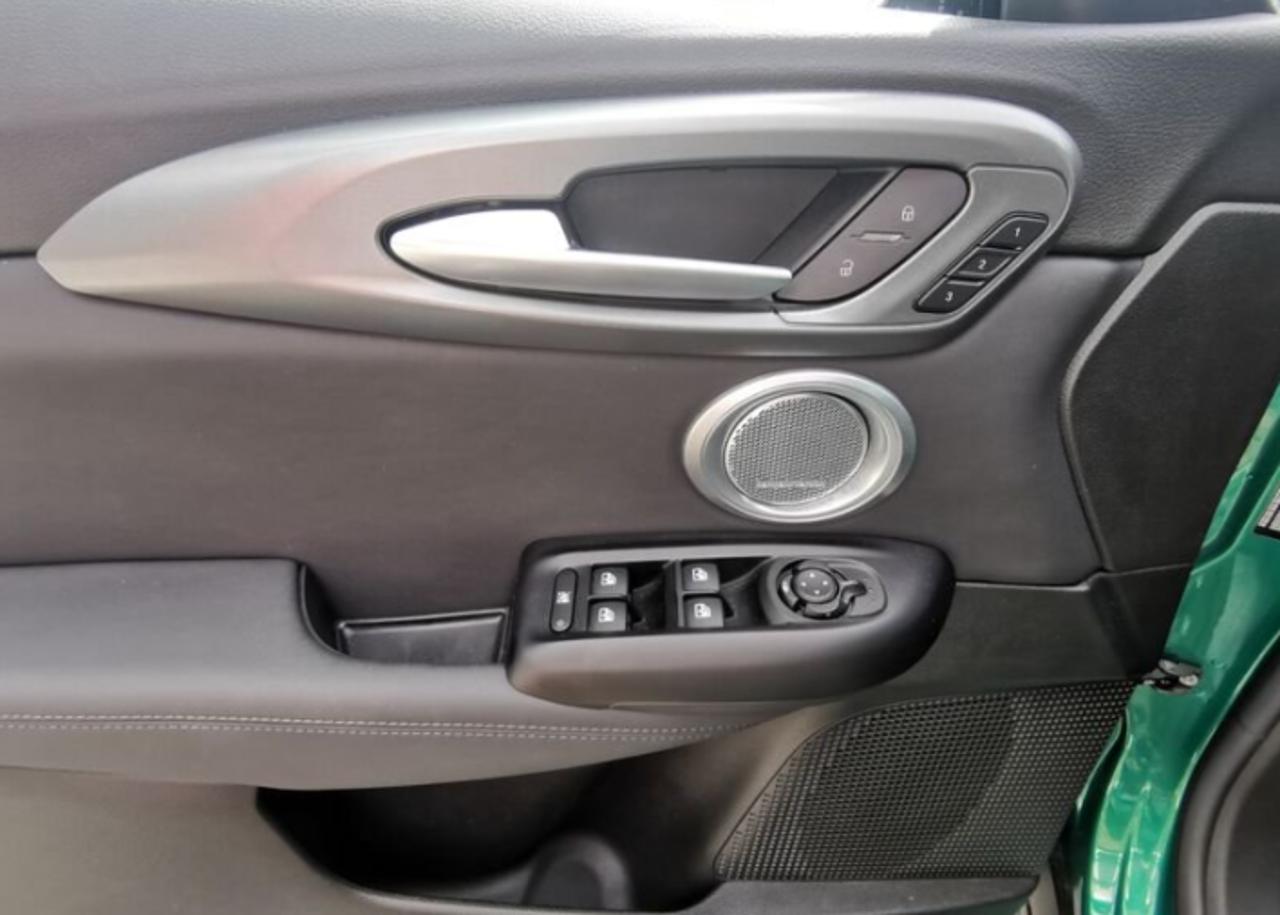 Alfa Romeo Alfa Romeo Tonale usata 13