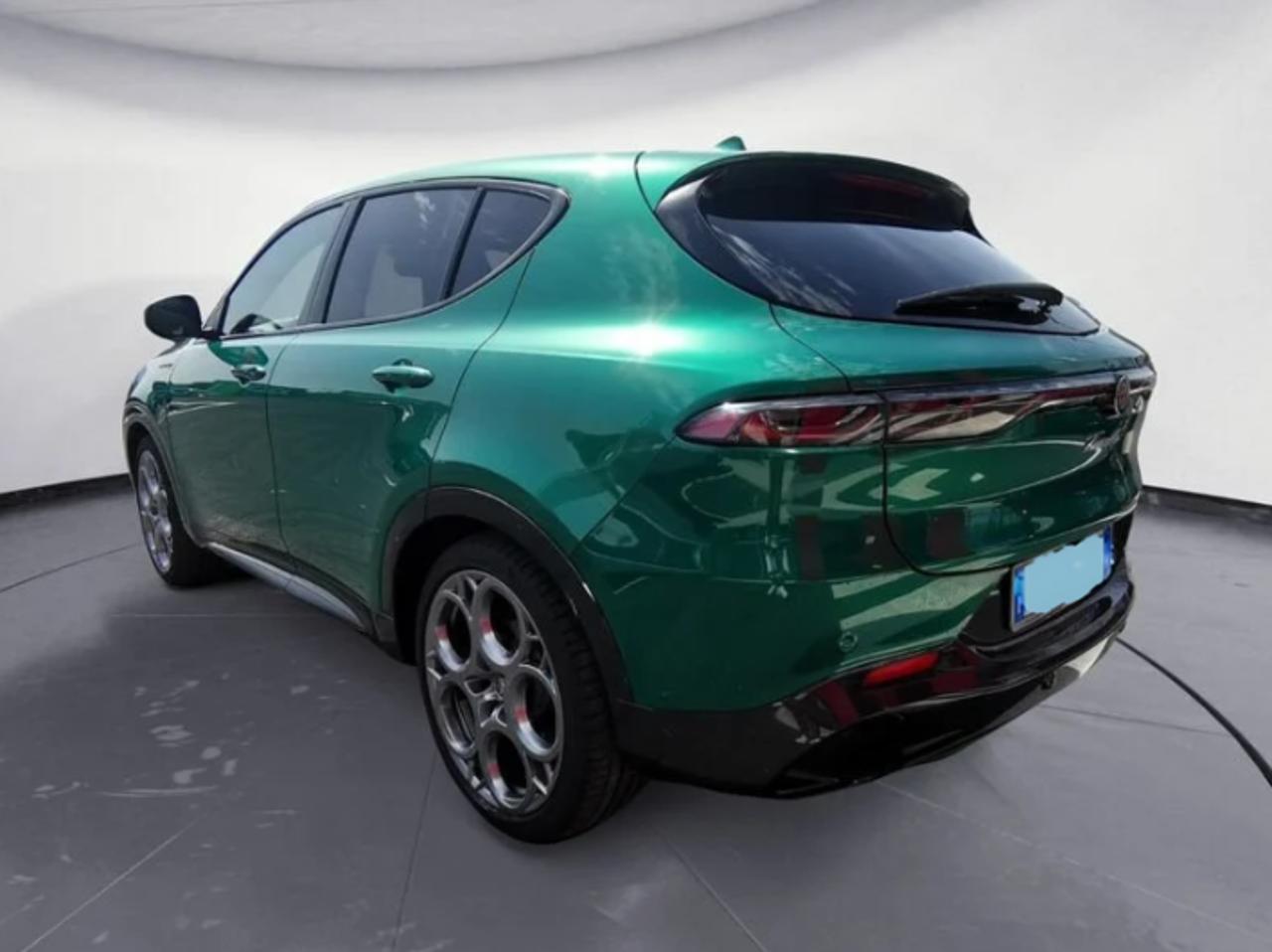 Alfa Romeo Alfa Romeo Tonale usata 19