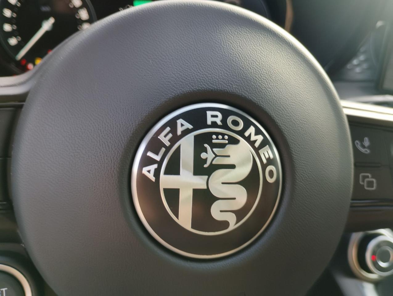 Alfa Romeo Alfa Romeo Tonale usata 6