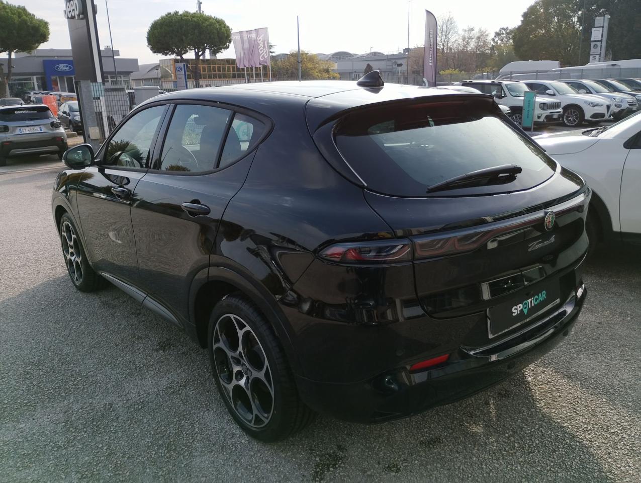 Alfa Romeo Alfa Romeo Tonale usata 11