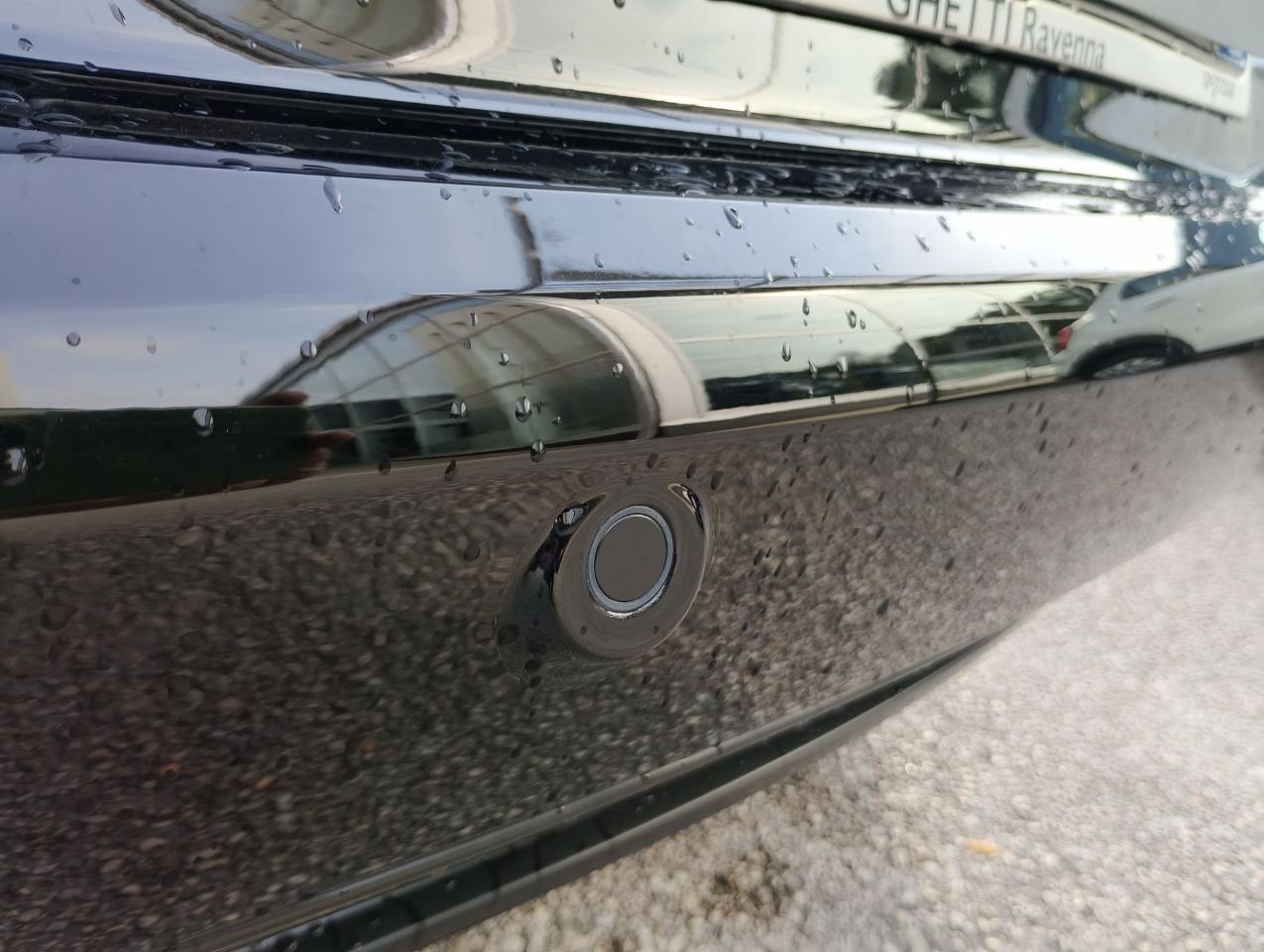 Alfa Romeo Alfa Romeo Tonale usata 12