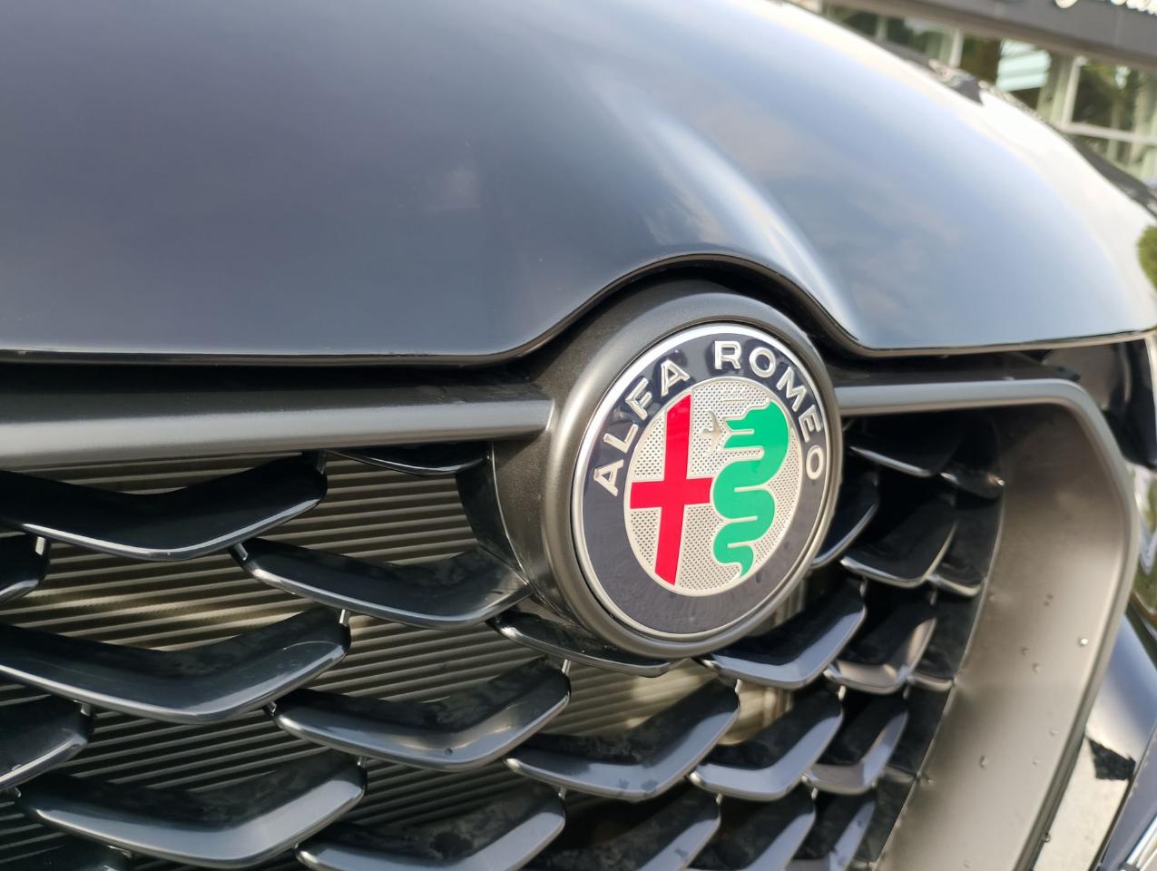 Alfa Romeo Alfa Romeo Tonale usata 16
