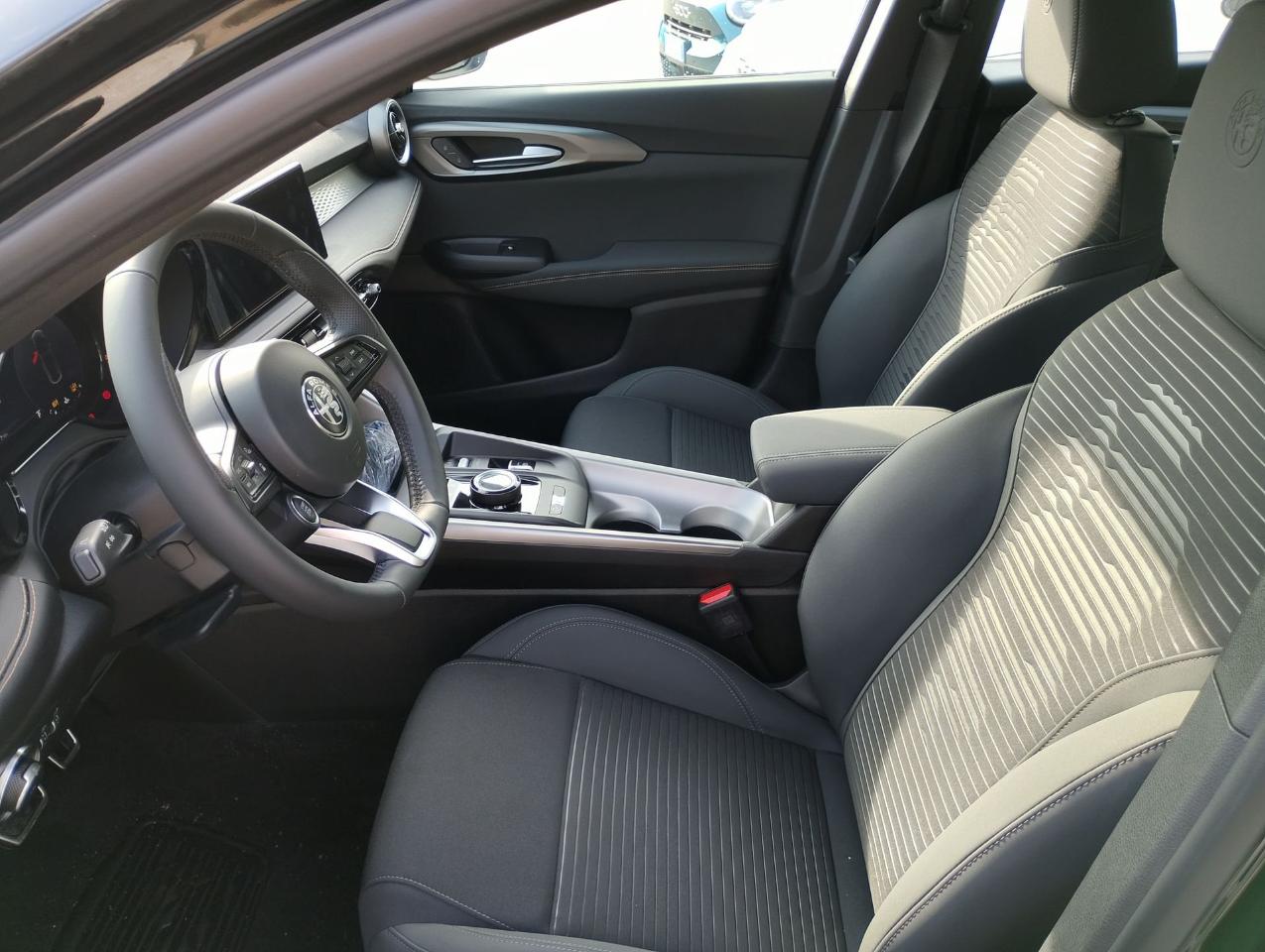 Alfa Romeo Alfa Romeo Tonale usata 19