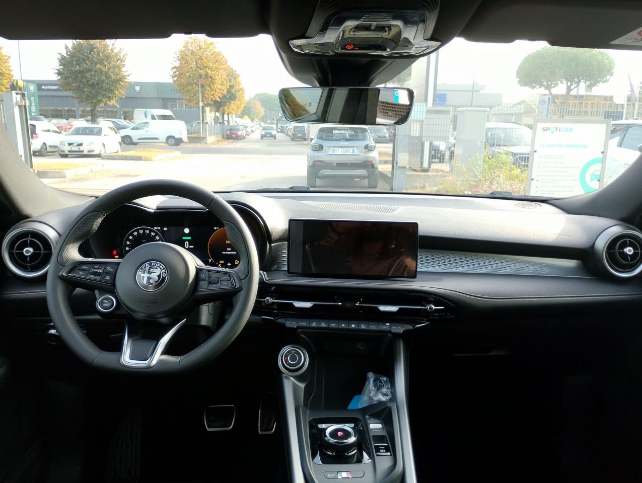 Alfa Romeo Alfa Romeo Tonale usata 21