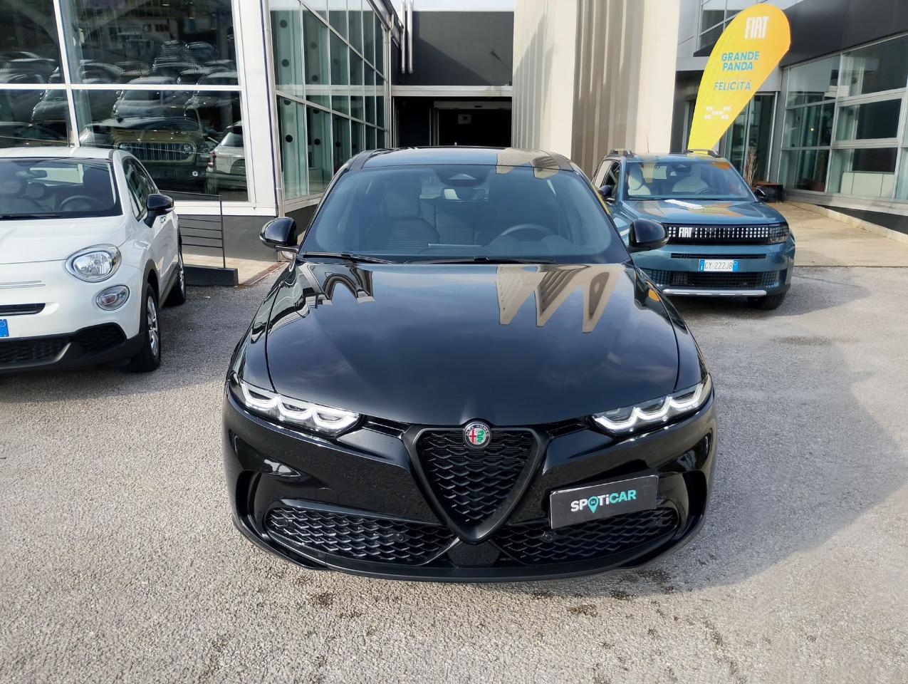 Alfa Romeo Alfa Romeo Tonale usata 25