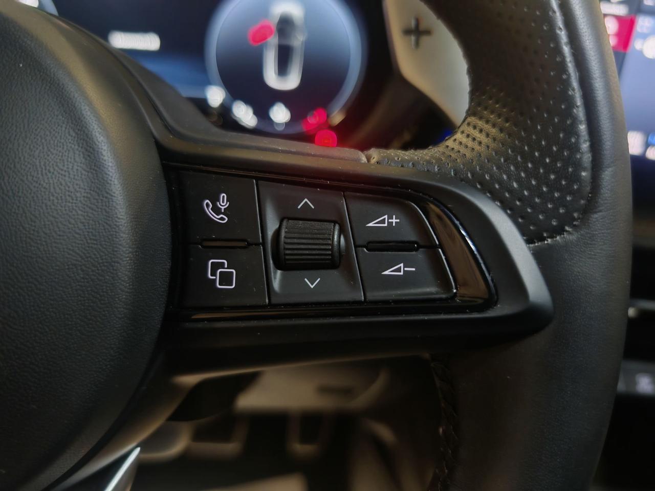 Alfa Romeo Alfa Romeo Tonale usata 5